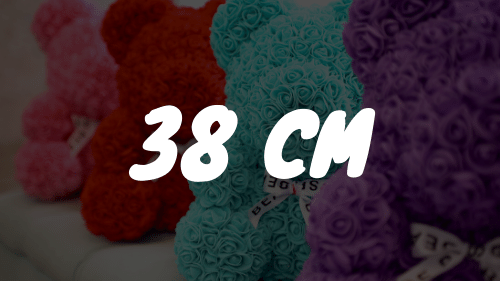 25 cm (3)